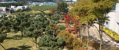 평택수목장