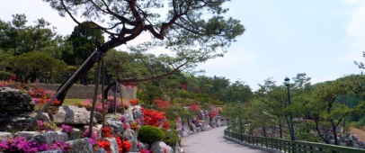 용인 백암수목장