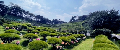 용인양지수목장