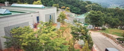 연천수목장