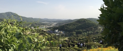 장흥 송추수목장